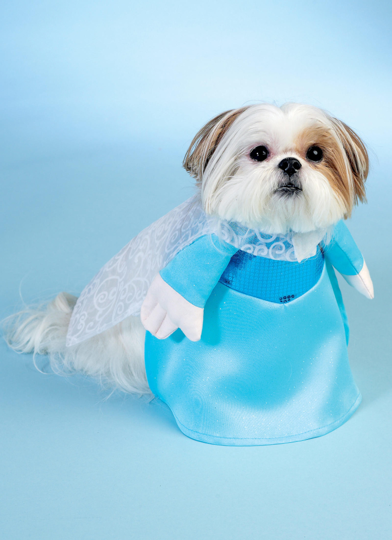 dog snowman outfit