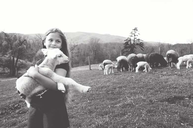 Black & white image of a young girl holding a lamb with sheep grazing behind her