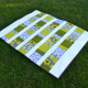 Quilt with white sashing and mixed green prints laying on grass
