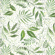 ferns - green