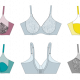lie drawings