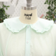 Close-up photo of Kiri's collar.