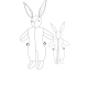 bunny rabbit working drawing