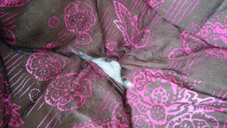 close-up of cushion of old pink and brown butterfly chair, showing rip in the seat, covered in cat fur