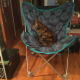 Brown, black, and red tortoisehsell cat sitting in newly finished blue butterfly chair